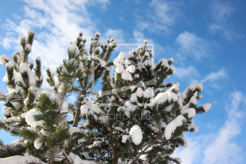 frei w&auml;hlbarer Bildausschnitt f&uuml;r Ihr Bild auf Glas-Schneidebrett