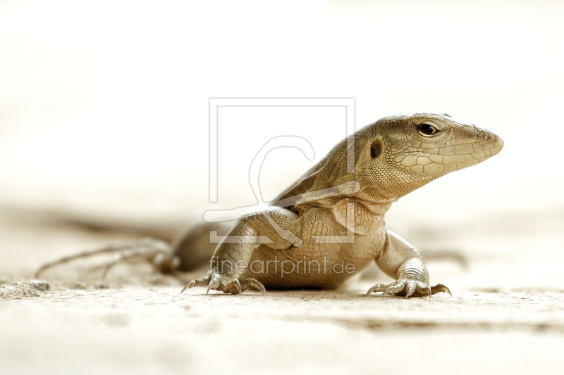 frei w&auml;hlbarer Bildausschnitt f&uuml;r Ihr Bild auf Glas-Schneidebrett
