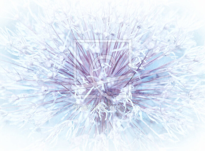 frei wählbarer Bildausschnitt für Ihr Bild auf Glas-Schneidebrett