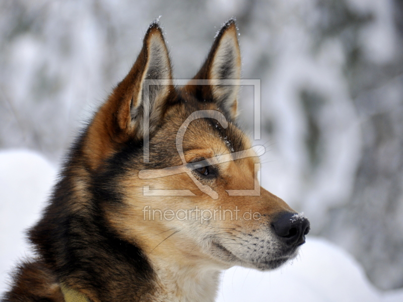 frei wählbarer Bildausschnitt für Ihr Bild auf Glas-Schneidebrett