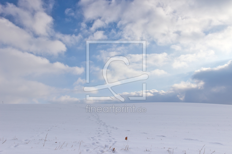 frei wählbarer Bildausschnitt für Ihr Bild auf Glas-Schneidebrett
