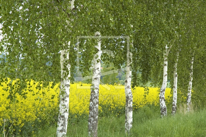 frei wählbarer Bildausschnitt für Ihr Bild auf Glas-Schneidebrett