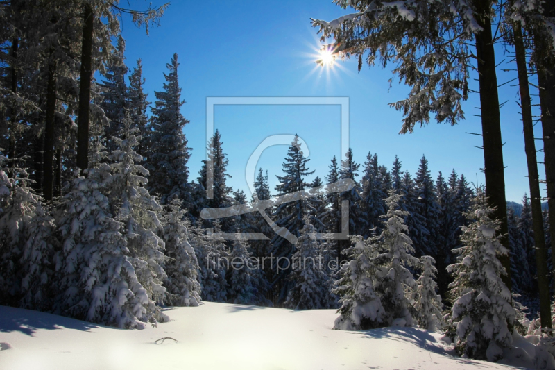 frei wählbarer Bildausschnitt für Ihr Bild auf Glas-Schneidebrett