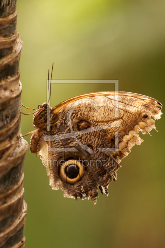 frei w&auml;hlbarer Bildausschnitt f&uuml;r Ihr Bild auf Glas-Schneidebrett