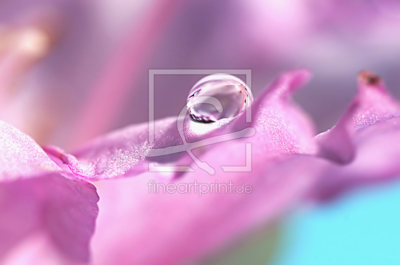 frei wählbarer Bildausschnitt für Ihr Bild auf Glas-Schneidebrett