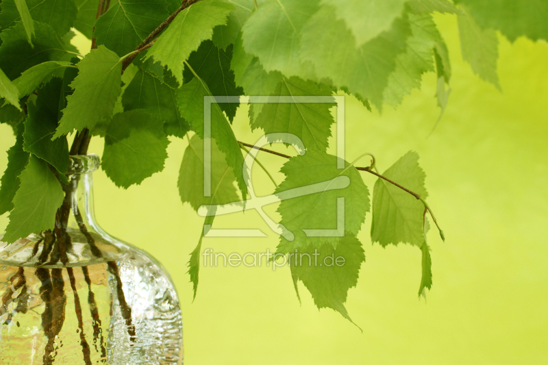 frei wählbarer Bildausschnitt für Ihr Bild auf Glas-Schneidebrett