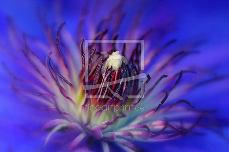 frei wählbarer Bildausschnitt für Ihr Bild auf Glas-Schneidebrett