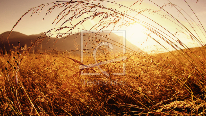 frei w&auml;hlbarer Bildausschnitt f&uuml;r Ihr Bild auf Glas-Schneidebrett