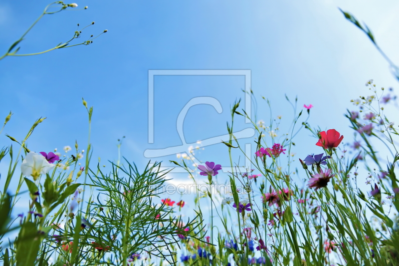 frei wählbarer Bildausschnitt für Ihr Bild auf Glas-Schneidebrett