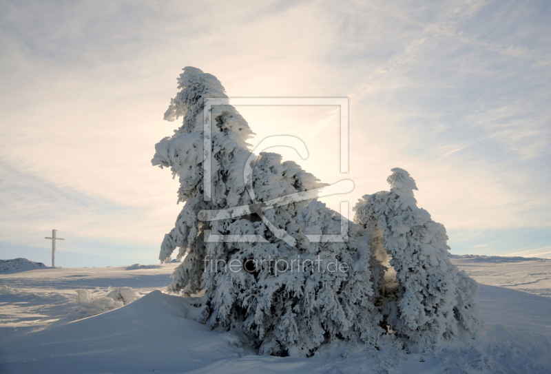 frei w&auml;hlbarer Bildausschnitt f&uuml;r Ihr Bild auf Glas-Schneidebrett