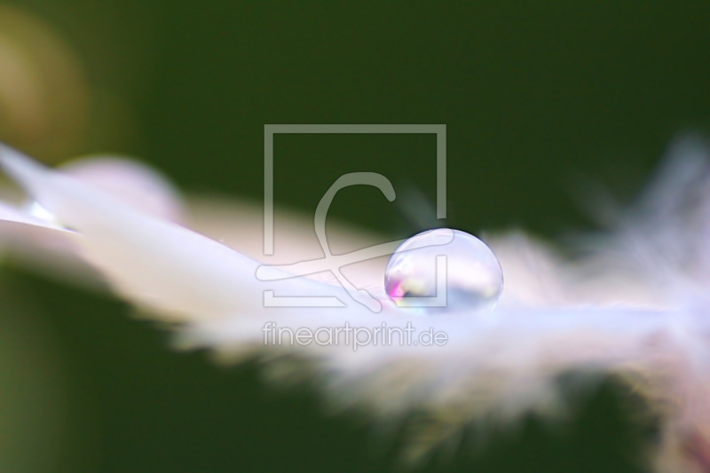 frei wählbarer Bildausschnitt für Ihr Bild auf Glas-Schneidebrett