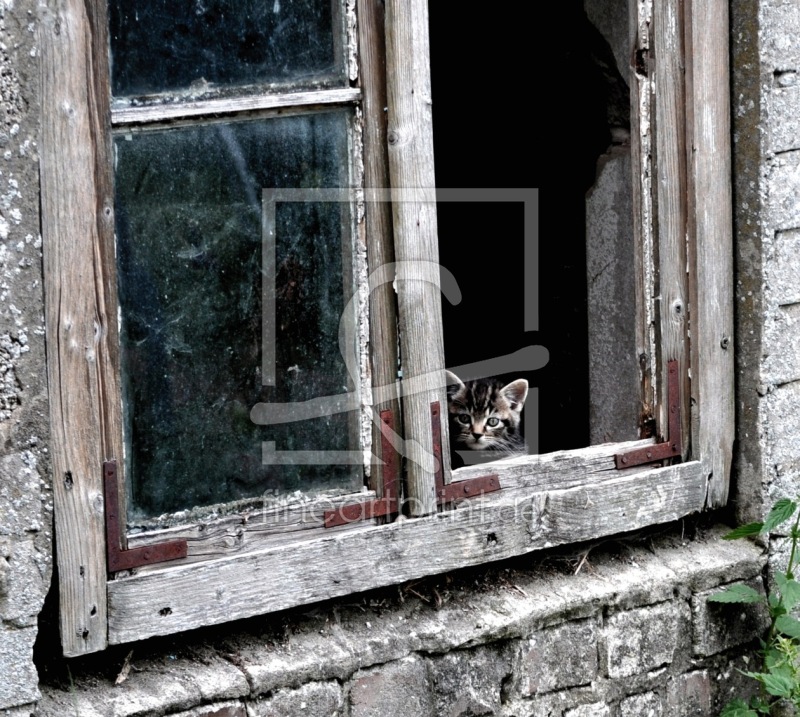 frei w&auml;hlbarer Bildausschnitt f&uuml;r Ihr Bild auf Glas-Schneidebrett