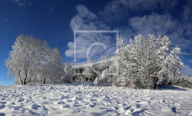 frei wählbarer Bildausschnitt für Ihr Bild auf Glas-Schneidebrett