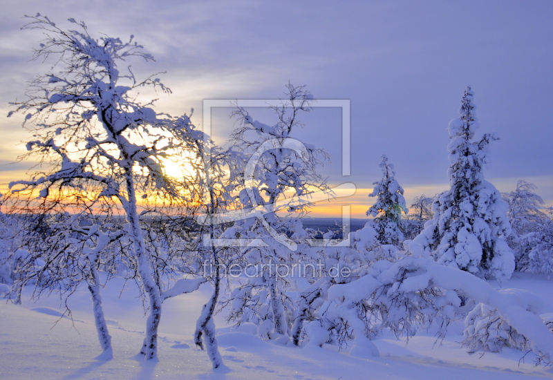 frei wählbarer Bildausschnitt für Ihr Bild auf Glas-Schneidebrett