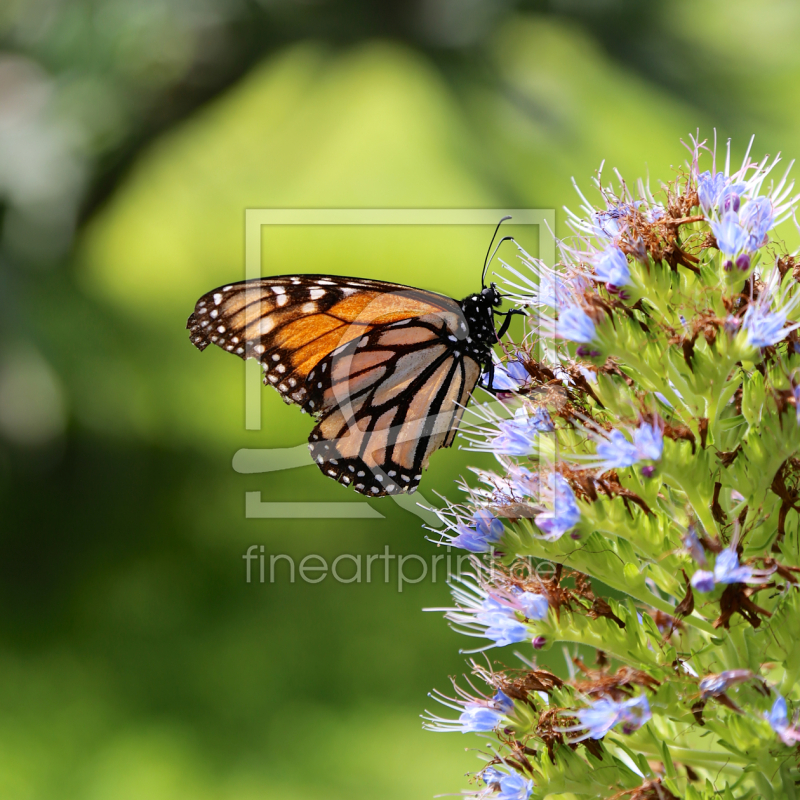 frei wählbarer Bildausschnitt für Ihr Bild auf Glas-Schneidebrett
