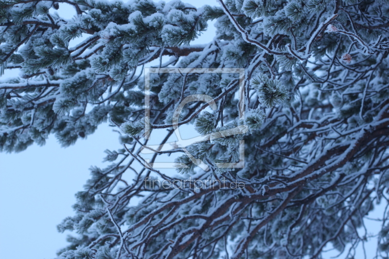 frei wählbarer Bildausschnitt für Ihr Bild auf Glas-Schneidebrett