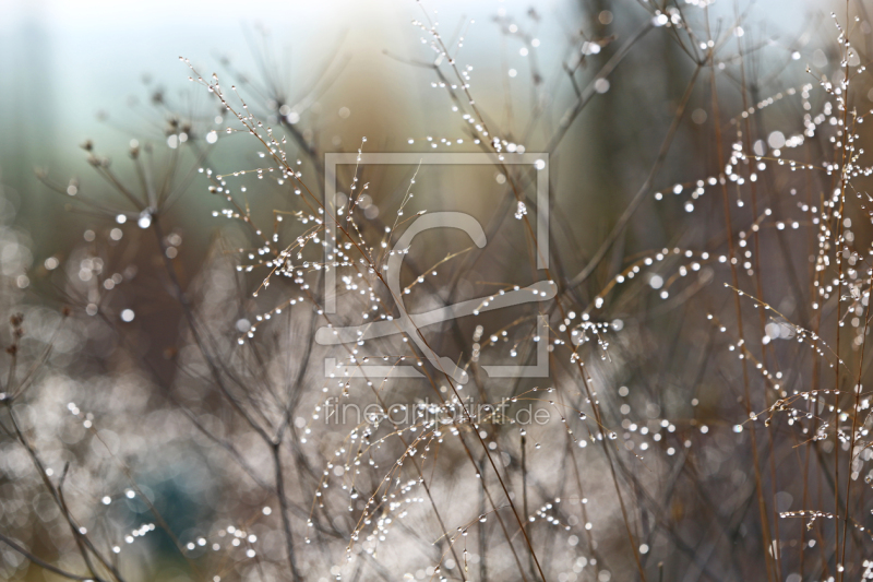 frei wählbarer Bildausschnitt für Ihr Bild auf Glas-Schneidebrett