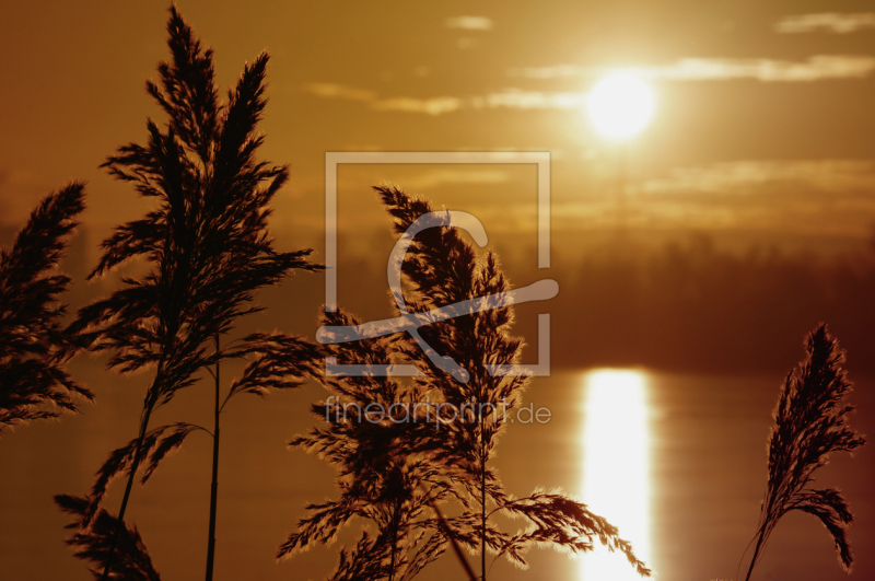 frei w&auml;hlbarer Bildausschnitt f&uuml;r Ihr Bild auf Glas-Schneidebrett