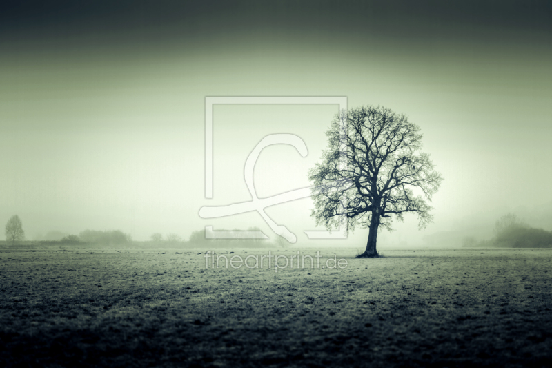 frei w&auml;hlbarer Bildausschnitt f&uuml;r Ihr Bild auf Glas-Schneidebrett