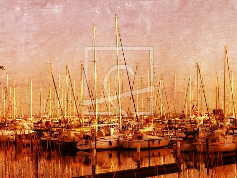 frei wählbarer Bildausschnitt für Ihr Bild auf Glas-Schneidebrett