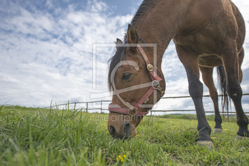 frei w&auml;hlbarer Bildausschnitt f&uuml;r Ihr Bild auf Glas-Schneidebrett