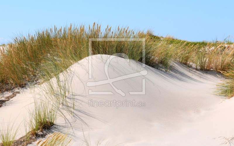 frei wählbarer Bildausschnitt für Ihr Bild auf Glas-Schneidebrett