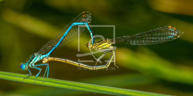 frei w&auml;hlbarer Bildausschnitt f&uuml;r Ihr Bild auf Glas-Schneidebrett