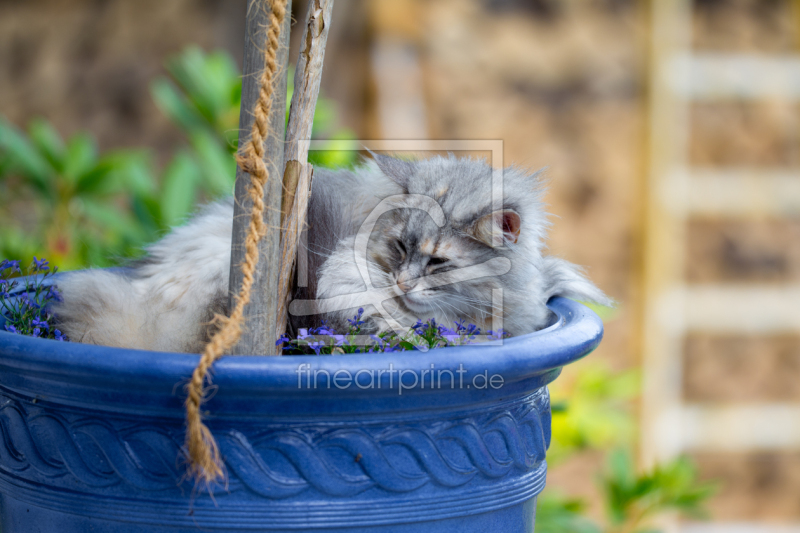 frei wählbarer Bildausschnitt für Ihr Bild auf Glas-Schneidebrett