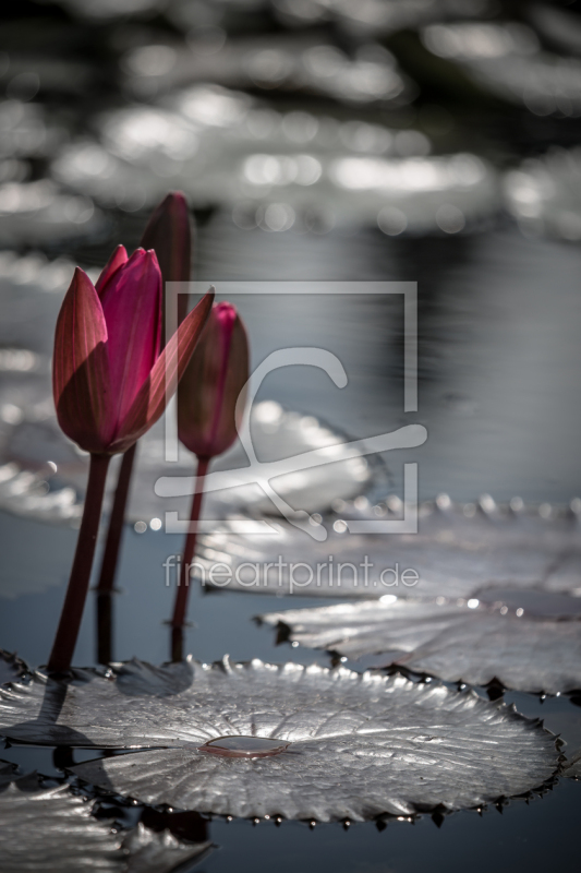 frei w&auml;hlbarer Bildausschnitt f&uuml;r Ihr Bild auf Glas-Schneidebrett