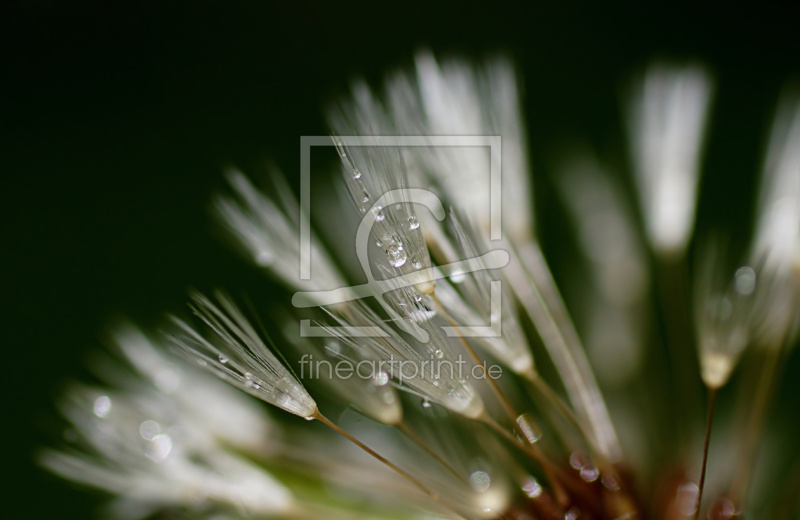 frei w&auml;hlbarer Bildausschnitt f&uuml;r Ihr Bild auf Glas-Schneidebrett