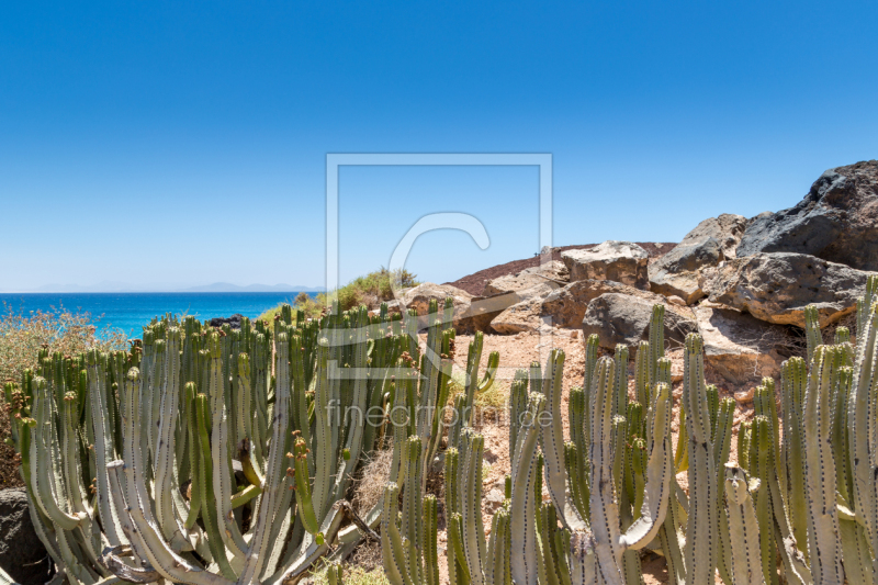frei w&auml;hlbarer Bildausschnitt f&uuml;r Ihr Bild auf Glas-Schneidebrett