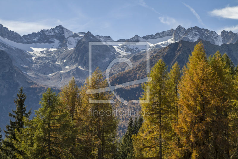 frei wählbarer Bildausschnitt für Ihr Bild auf Glas-Schneidebrett