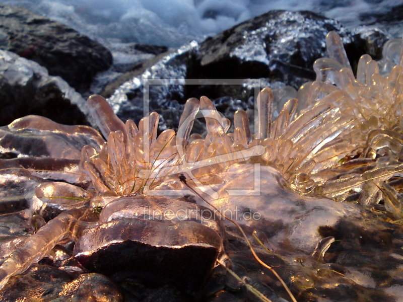 frei wählbarer Bildausschnitt für Ihr Bild auf Glas-Schneidebrett