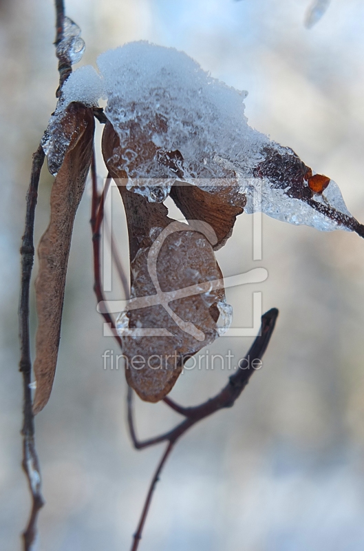frei wählbarer Bildausschnitt für Ihr Bild auf Glas-Schneidebrett