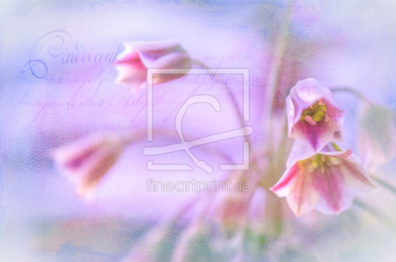 frei wählbarer Bildausschnitt für Ihr Bild auf Glas-Schneidebrett