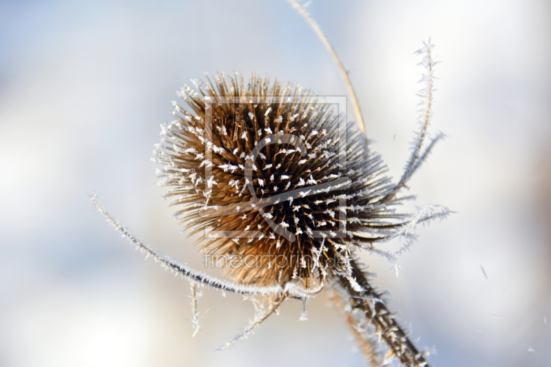 frei wählbarer Bildausschnitt für Ihr Bild auf Glas-Schneidebrett