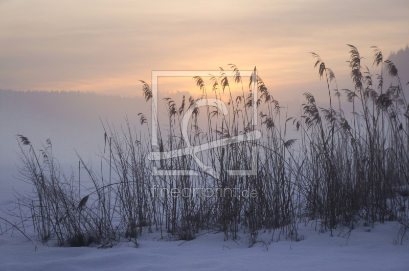 frei wählbarer Bildausschnitt für Ihr Bild auf Glas-Schneidebrett
