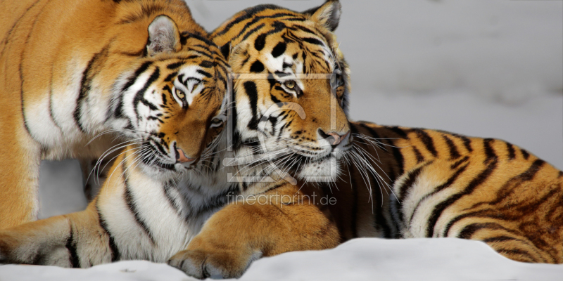 frei w&auml;hlbarer Bildausschnitt f&uuml;r Ihr Bild auf Glas-Schneidebrett