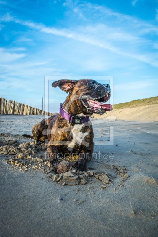 frei w&auml;hlbarer Bildausschnitt f&uuml;r Ihr Bild auf Glas-Schneidebrett