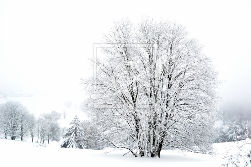 frei w&auml;hlbarer Bildausschnitt f&uuml;r Ihr Bild auf Glas-Schneidebrett
