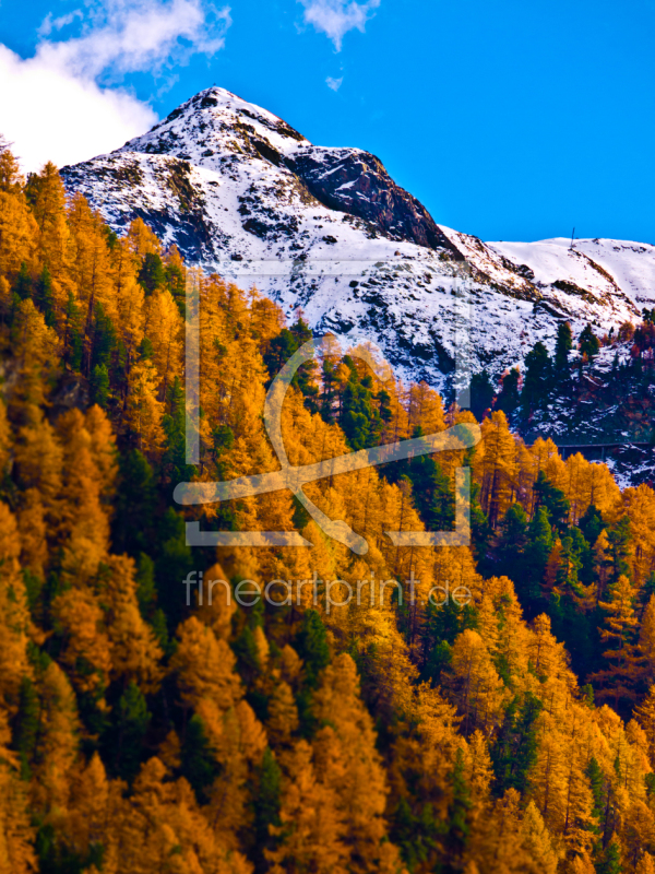 frei wählbarer Bildausschnitt für Ihr Bild auf Glas-Schneidebrett