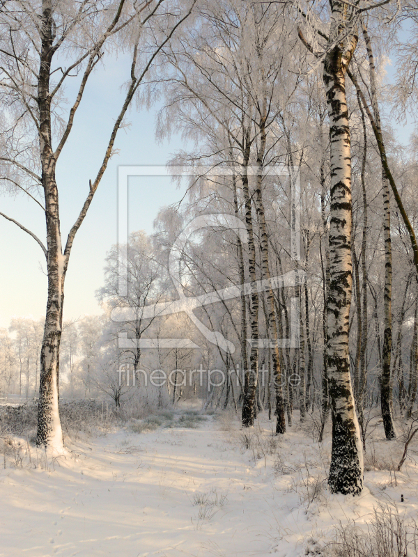 frei wählbarer Bildausschnitt für Ihr Bild auf Glas-Schneidebrett