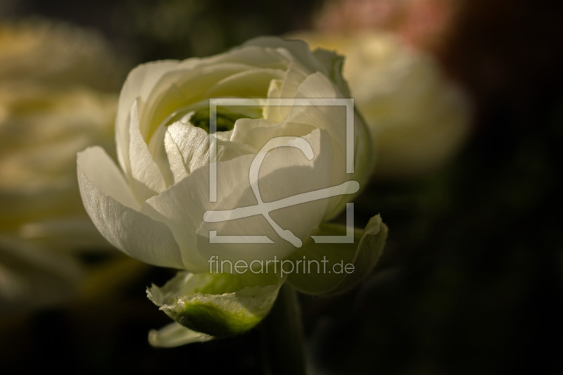 frei wählbarer Bildausschnitt für Ihr Bild auf Glas-Schneidebrett