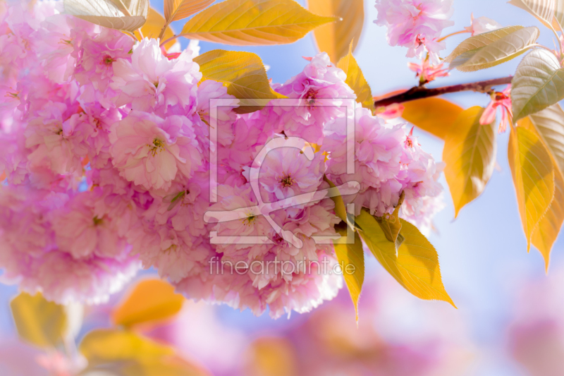 frei w&auml;hlbarer Bildausschnitt f&uuml;r Ihr Bild auf Glas-Schneidebrett