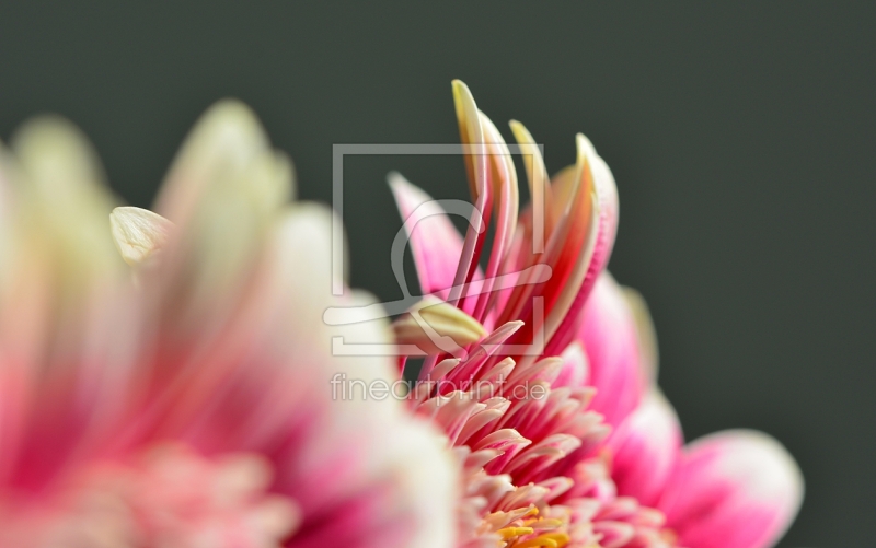 frei wählbarer Bildausschnitt für Ihr Bild auf Glas-Schneidebrett