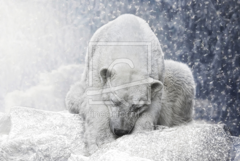 frei wählbarer Bildausschnitt für Ihr Bild auf Glas-Schneidebrett