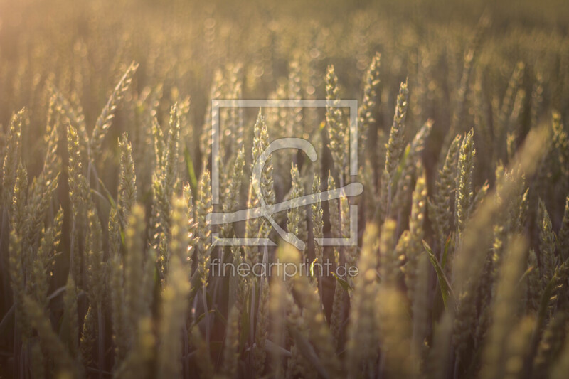 frei w&auml;hlbarer Bildausschnitt f&uuml;r Ihr Bild auf Glas-Schneidebrett