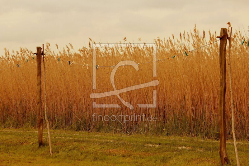 frei wählbarer Bildausschnitt für Ihr Bild auf Glas-Schneidebrett