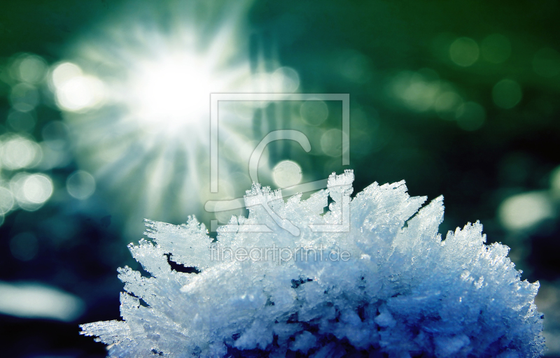 frei wählbarer Bildausschnitt für Ihr Bild auf Glas-Schneidebrett