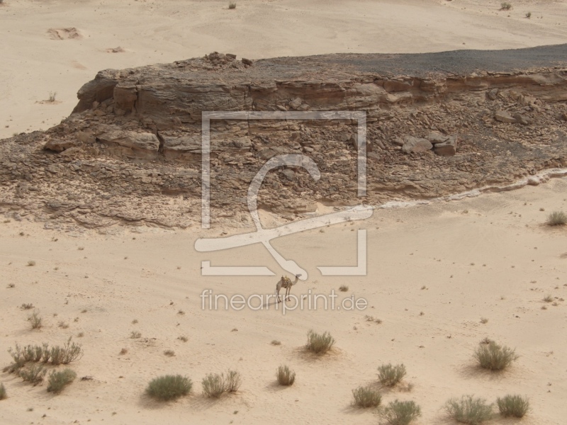 frei wählbarer Bildausschnitt für Ihr Bild auf Glas-Schneidebrett